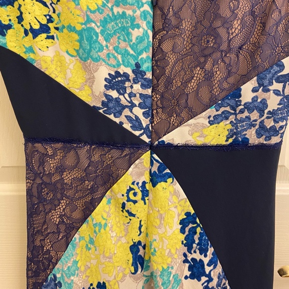 BCBG, Floral & Lace, Fit & Flare Dress - Picture 4 of 8